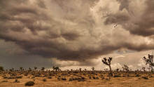 Storm Over Desert