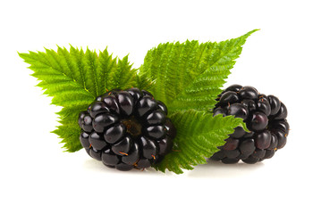 Poster -  Blackberries with leaf.