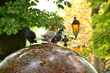 Three funny doves sit on round fountain