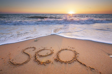 Wall Mural - Sea word on the beach.