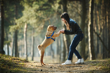 girl with dog in the park