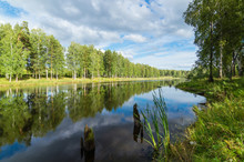 летний пруд в лесу, Урал Россия
