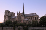 Fototapeta Paryż - Evening view of Cathedral of Notre Dame de Paris at sunset, Fran