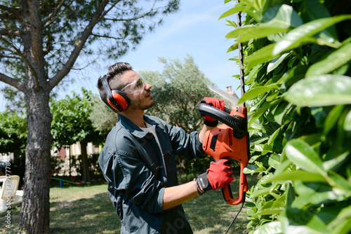 Fotografía handsome young man gardener trimming hedgerow in park outdoor