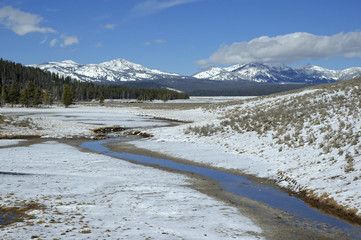 Wall Mural - Volcanic landscape in Yellowstone National Park, Wyoming, USA