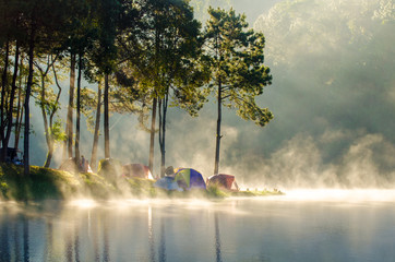 Wall Mural - morning in forest with camping in the mist