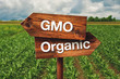 Gmo or Organic Farming Direction Sign