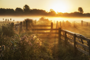 stunning sunrise landscape over foggy english countryside with g