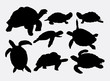 Turtle and tortoise animal silhouettes