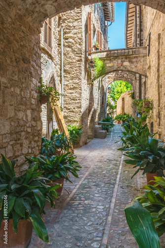 Naklejka na szybę Transitions and abbreviations under the arches in the Italian me