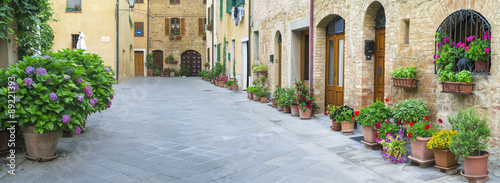 Fototapeta na wymiar flowers on alone street in Tuscany in Italy