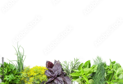 Fototapeta do kuchni Fresh garden herbs