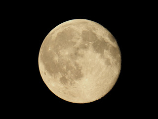 Wall Mural - full moon