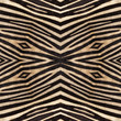 Abstract zebra seamless background
