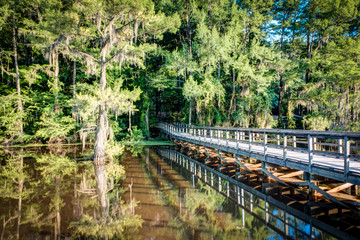 Mill Pond Dock