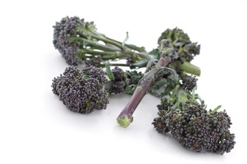 Canvas Print - purple sprouting broccoli