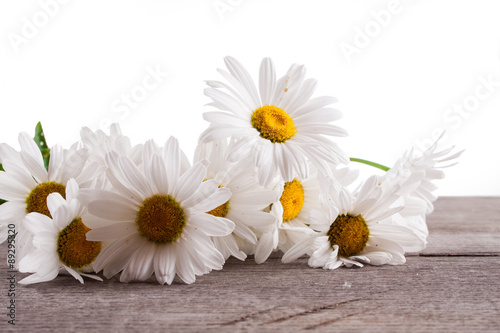 Naklejka na szybę Leucanthemum vulgare on a wooden table, isolated on a white background