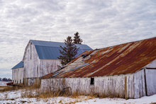 Weathered Shed And Barn, Winter, Wisconsin