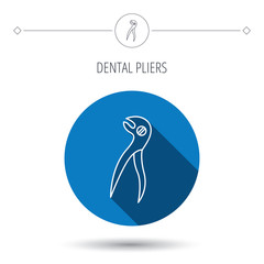 Dental pliers icon. Stomatological forceps tool.