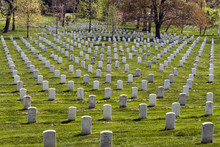 Headstones At Arlington National Cemetery