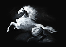 Illustration Of Horse