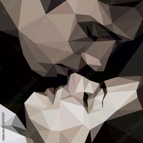 Fototapeta na wymiar kiss lovers. polygon graphic