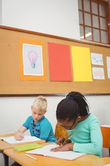 Wall Mural - Busy students working on class work