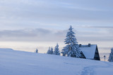 Fototapeta Psy - Zima w Beskidach