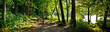 Leinwandbild Motiv trail in the forest
