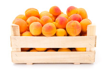 Apricots (Prunus Armeniaca) In Wooden Crate