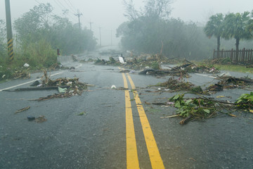 debri in road during typhoon