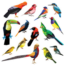Birds-set Colorful Birds Low Poly Design Isolated On White Background.Bluebird,Kingfisher,Cock-of-the-rock,Finch,Crested Bunting,Golden Pheasant,Keel Billed Toucan,Troupial,Turaco,Waxwing,Yellowhammer