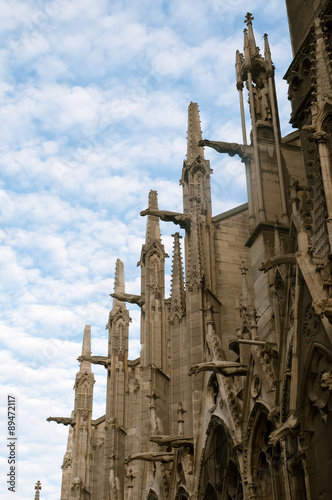Plakat Katedra Notre Dame, detale architektoniczne, Paryż.