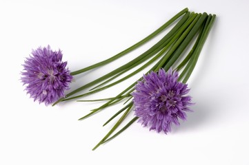 Wall Mural - Flowering chives