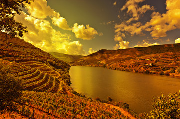 Wall Mural - River Douro