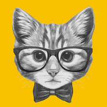 Hand Drawn Portrait Of Cat With Glasses And Bow Tie. Vector Isolated Elements.