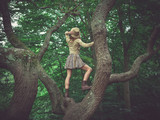 Fototapeta  - Woman wearing safari hat climbing tree