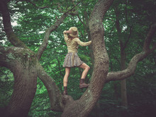 Woman Wearing Safari Hat Climbing Tree
