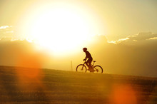 Profile Silhouette Sport Man Cycling Uphilll Riding Cross Country Mountain Bike