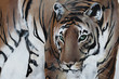 Tiger gemalt