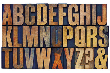 alphabet in letterpress wood type blocks