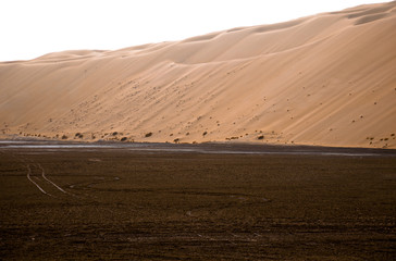  Amazing sand dune formations in Liwa oasis, United Arab Emirates