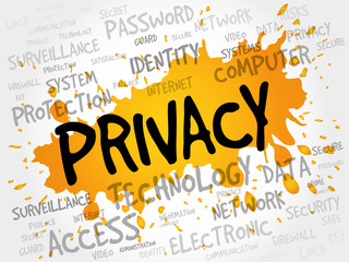 Poster - PRIVACY word cloud, business concept