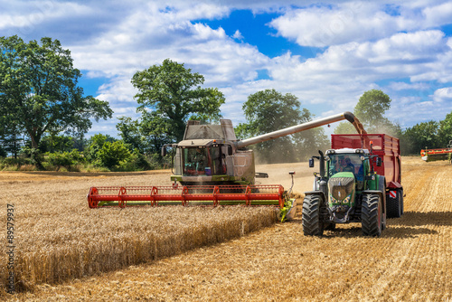 Fotografie, Obraz Mähdrescher und Traktor mit Ladewagen bei der Getreideernte - 2899