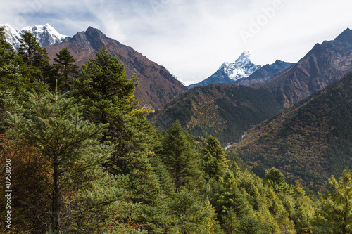 Ama Dablam mountain peaks and deep river canyon. Poster