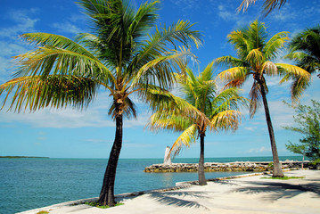 Wall Mural - Florida Keys / Views from Marathon in the Florida Keys