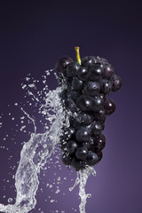 Wall Mural - fruit