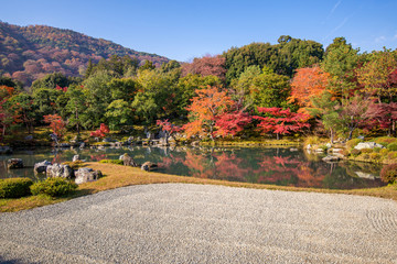 Fototapete - Japanese garden during falling season