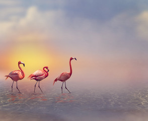 Plakat ptak flamingo zwierzę