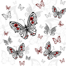 Seamless Pattern Of Gray Butterfly